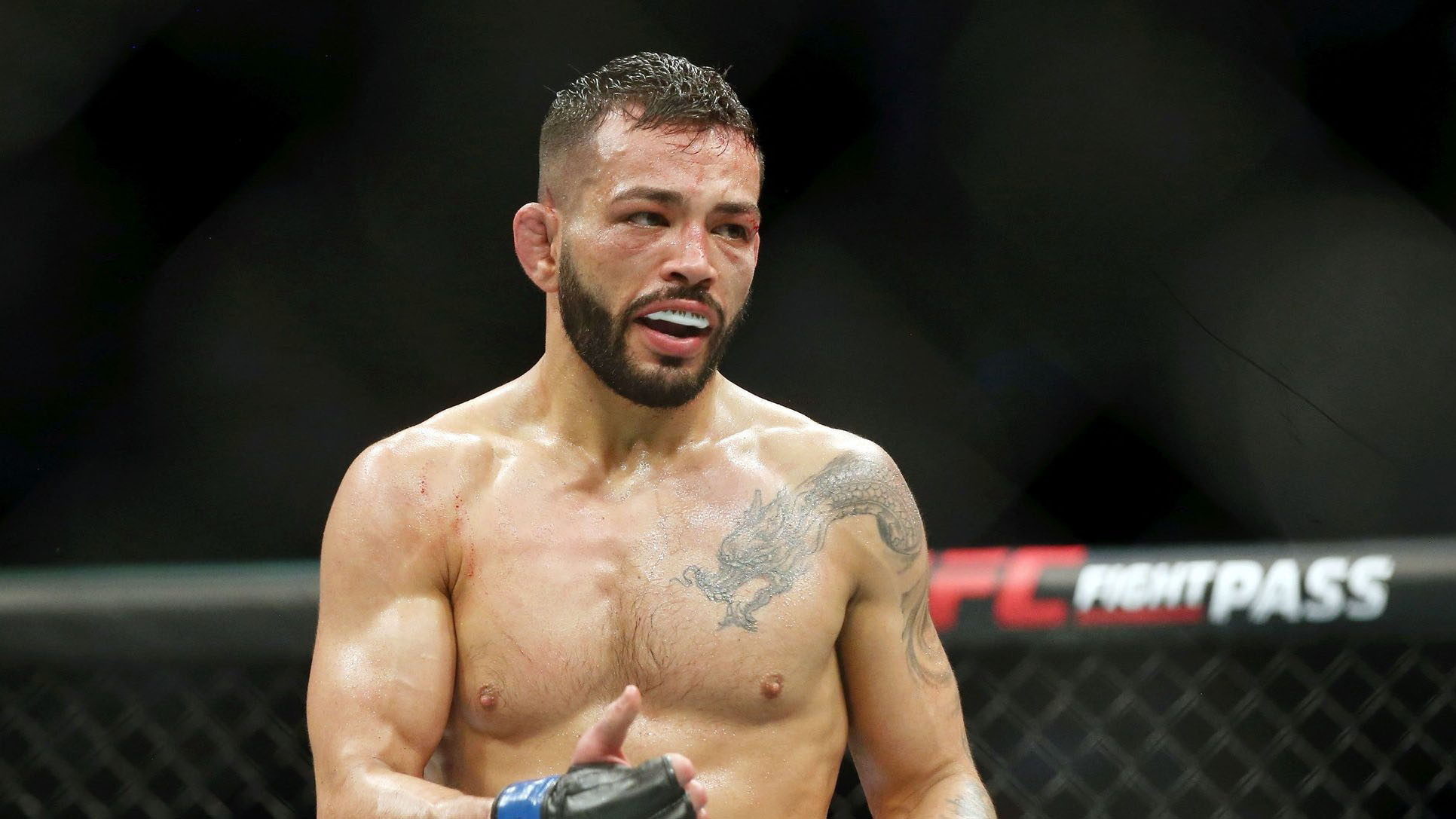 Dan Ige Dan Ige (born August 6, 1991) is an American mixed martial artist currently competing in UFC's Featherweight division. A professional since 2014, he h...